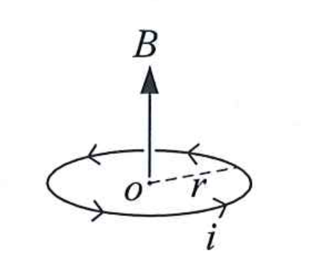 Magnetic Field Diagram